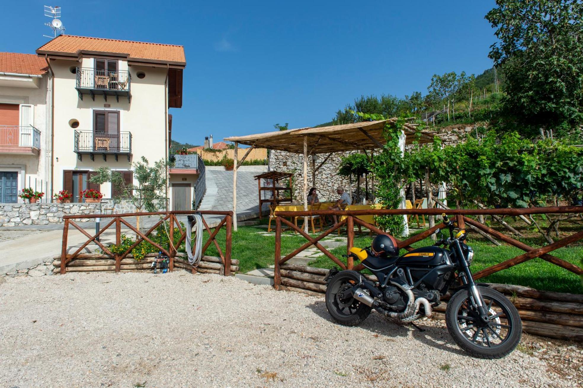 לינה וארוחת בוקר אג'רולה Il Vigneto Di Nonno Pietro מראה חיצוני תמונה