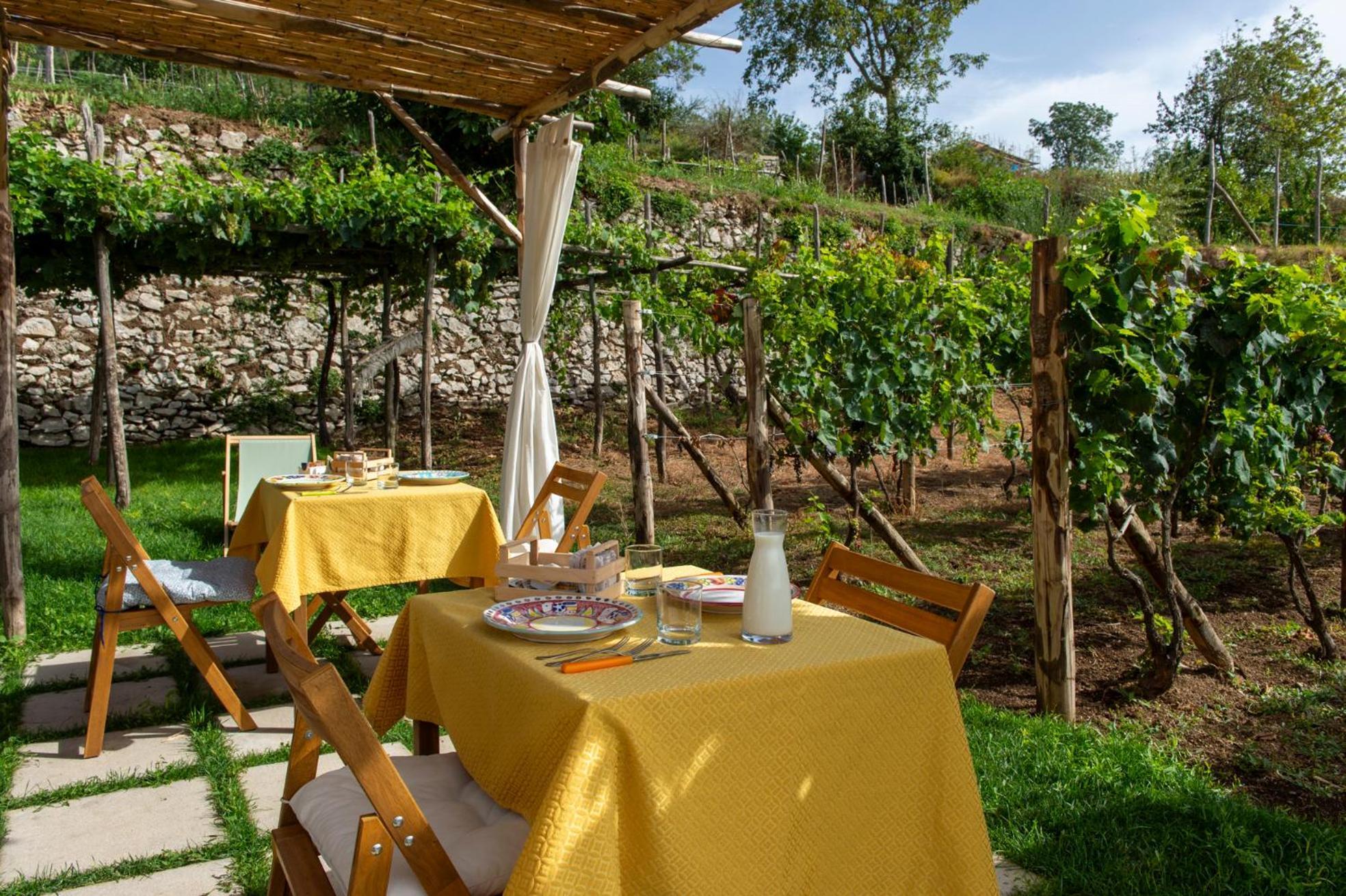 לינה וארוחת בוקר אג'רולה Il Vigneto Di Nonno Pietro מראה חיצוני תמונה