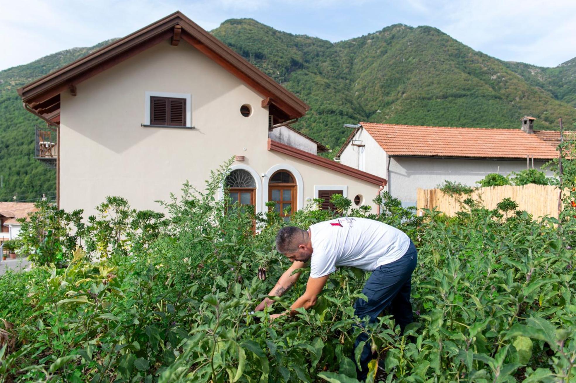 לינה וארוחת בוקר אג'רולה Il Vigneto Di Nonno Pietro מראה חיצוני תמונה