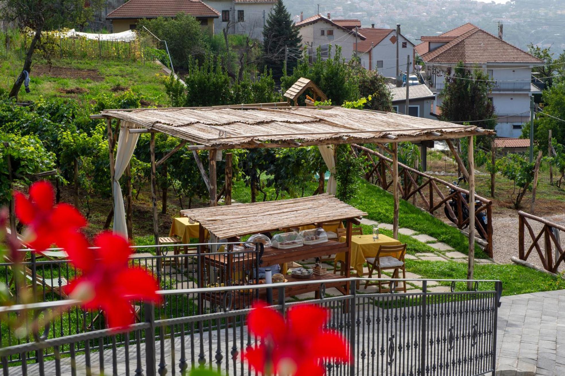 לינה וארוחת בוקר אג'רולה Il Vigneto Di Nonno Pietro מראה חיצוני תמונה