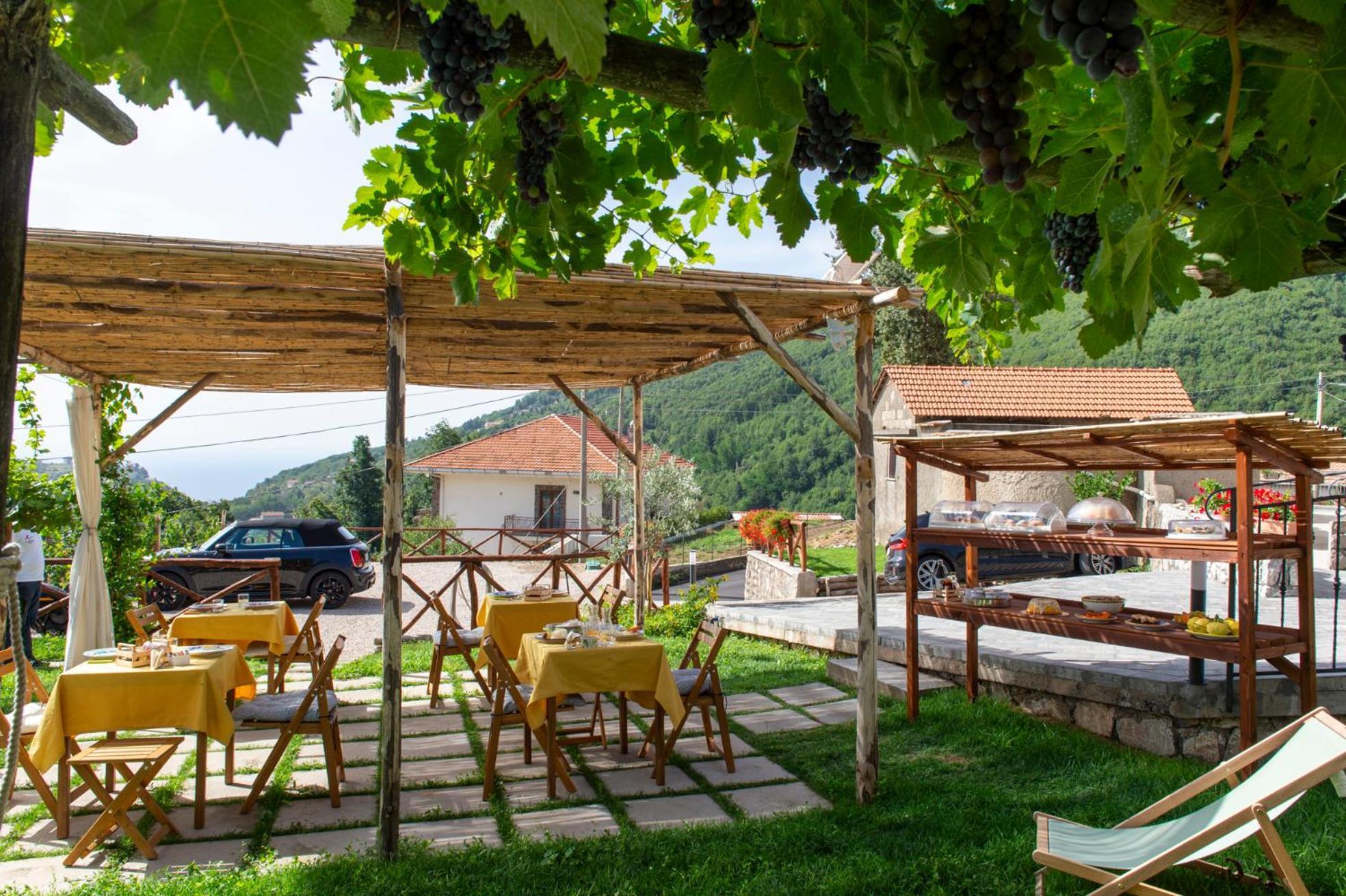 לינה וארוחת בוקר אג'רולה Il Vigneto Di Nonno Pietro מראה חיצוני תמונה