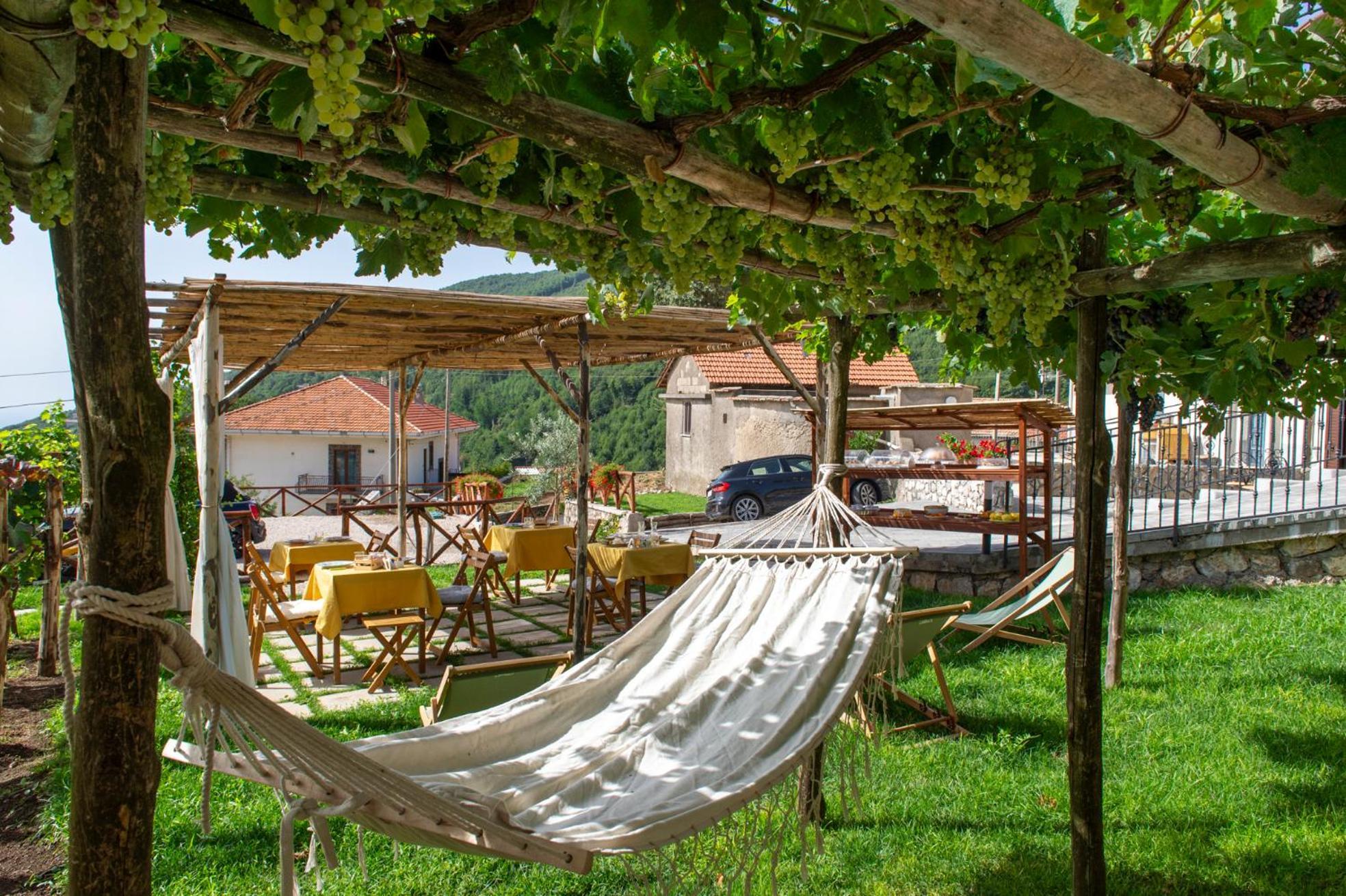לינה וארוחת בוקר אג'רולה Il Vigneto Di Nonno Pietro מראה חיצוני תמונה