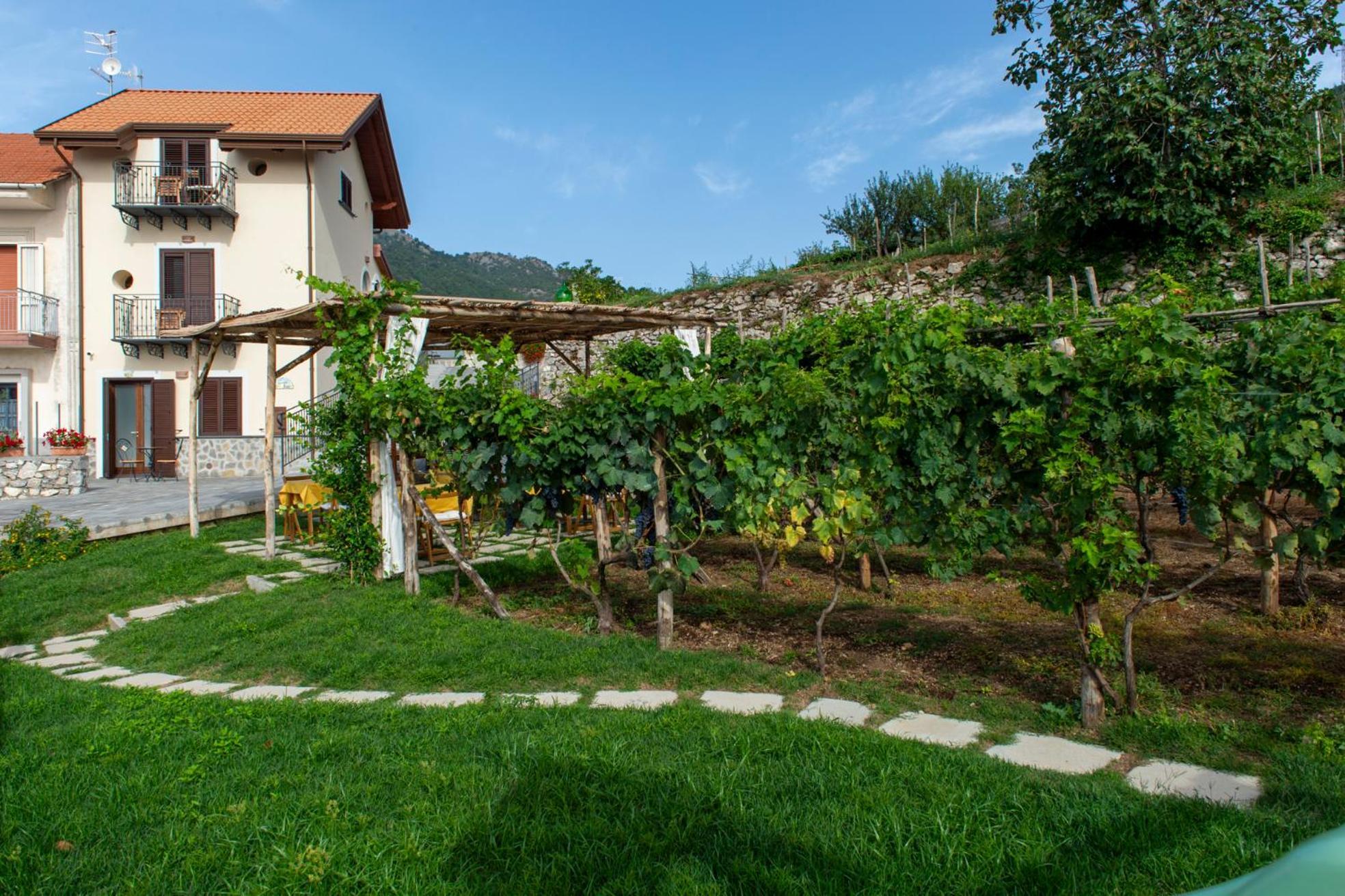 לינה וארוחת בוקר אג'רולה Il Vigneto Di Nonno Pietro מראה חיצוני תמונה