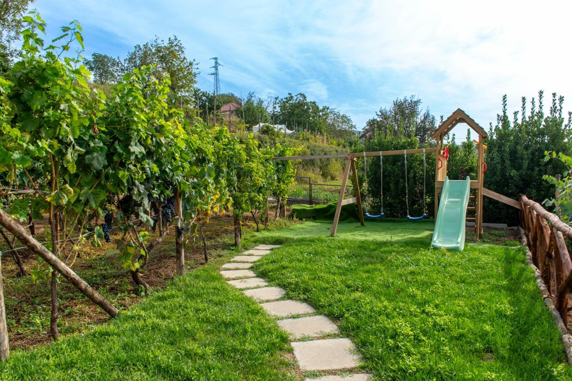 לינה וארוחת בוקר אג'רולה Il Vigneto Di Nonno Pietro מראה חיצוני תמונה